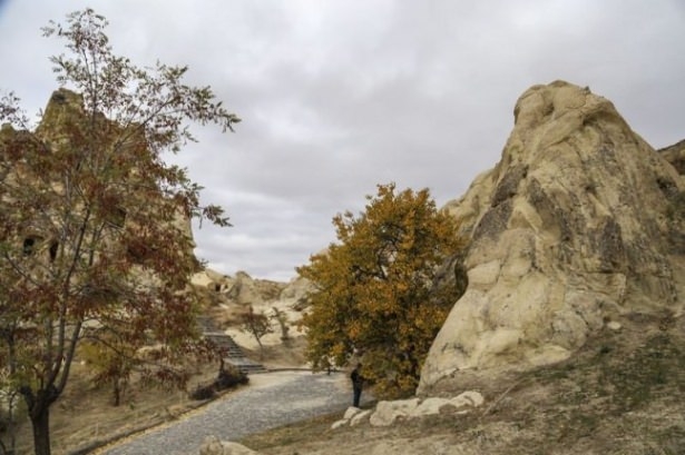 Türkiye'den eşsiz sonbahar manzaraları 5