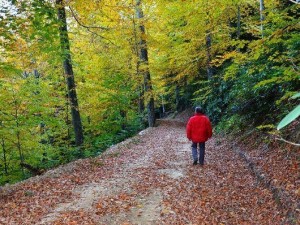 Türkiye'den eşsiz sonbahar manzaraları