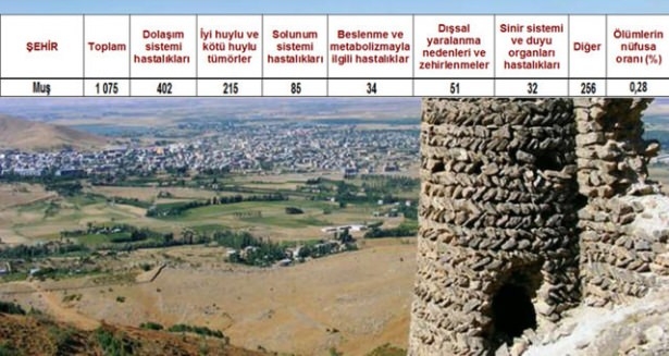 Ölüm oranlarının en yüksek olduğu iller 10