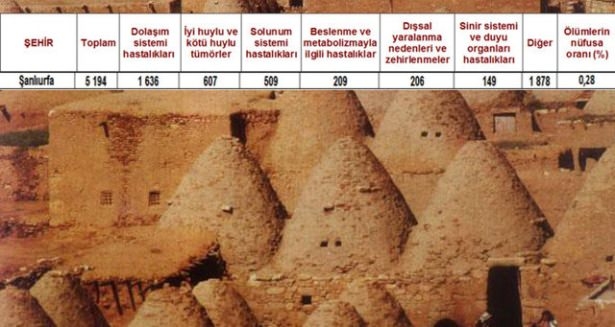 Ölüm oranlarının en yüksek olduğu iller 11