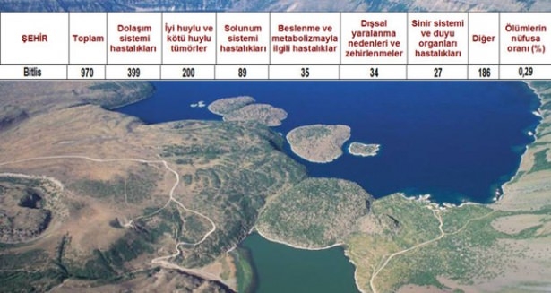 Ölüm oranlarının en yüksek olduğu iller 12