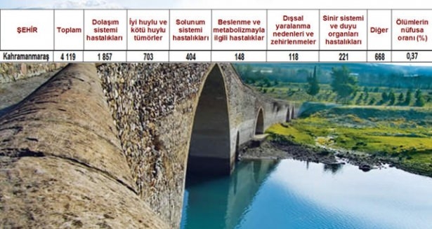 Ölüm oranlarının en yüksek olduğu iller 14