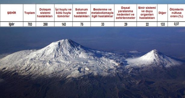 Ölüm oranlarının en yüksek olduğu iller 15