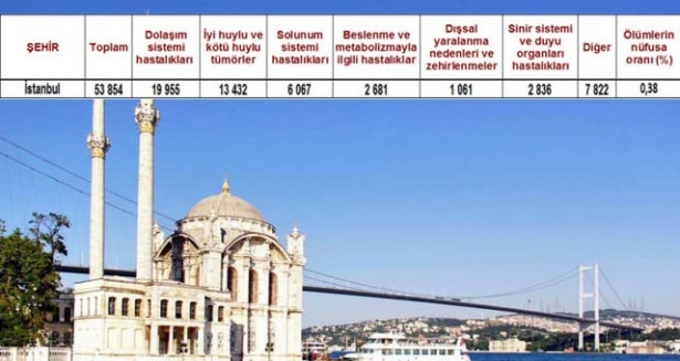 Ölüm oranlarının en yüksek olduğu iller 17