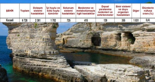 Ölüm oranlarının en yüksek olduğu iller 19