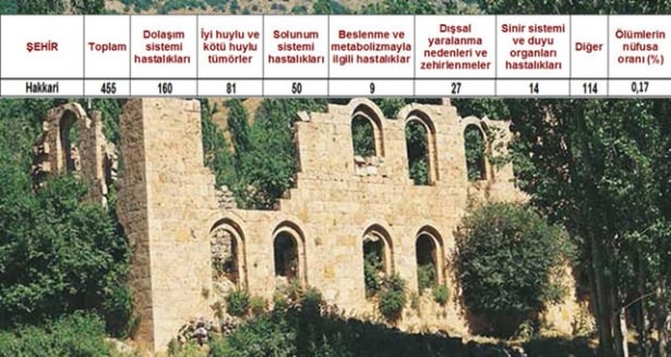 Ölüm oranlarının en yüksek olduğu iller 2