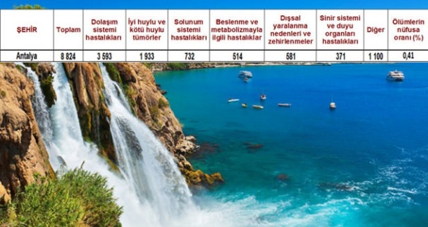 Ölüm oranlarının en yüksek olduğu iller 20