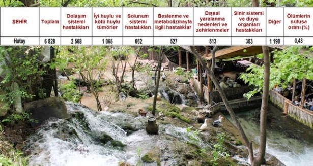 Ölüm oranlarının en yüksek olduğu iller 23