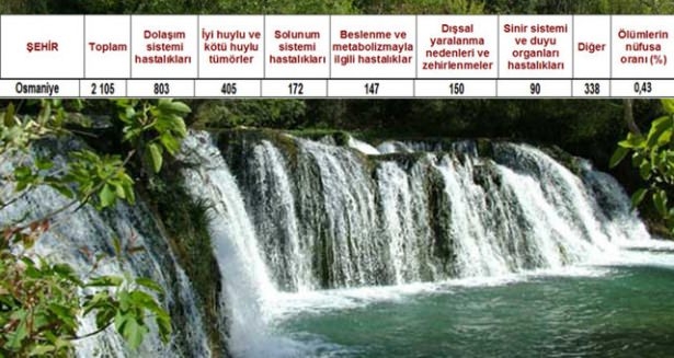 Ölüm oranlarının en yüksek olduğu iller 24