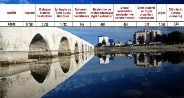 Ölüm oranlarının en yüksek olduğu iller 26