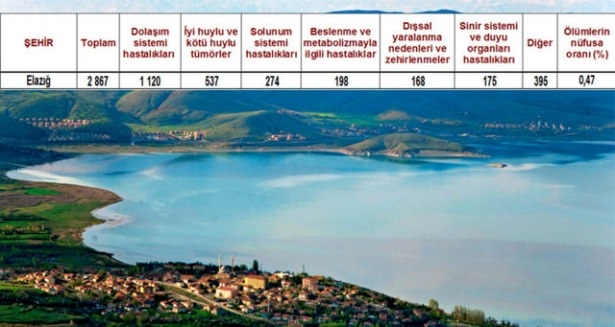 Ölüm oranlarının en yüksek olduğu iller 29