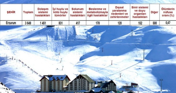 Ölüm oranlarının en yüksek olduğu iller 30