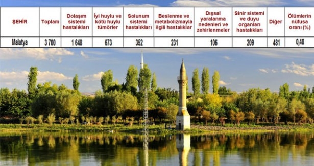 Ölüm oranlarının en yüksek olduğu iller 32