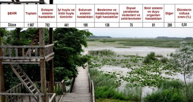 Ölüm oranlarının en yüksek olduğu iller 33