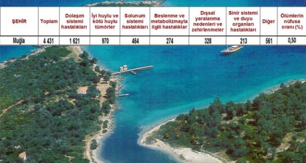 Ölüm oranlarının en yüksek olduğu iller 34