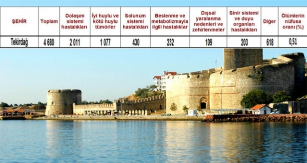 Ölüm oranlarının en yüksek olduğu iller 35