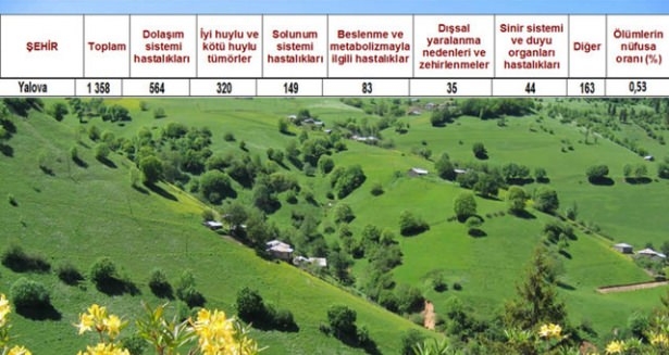 Ölüm oranlarının en yüksek olduğu iller 39