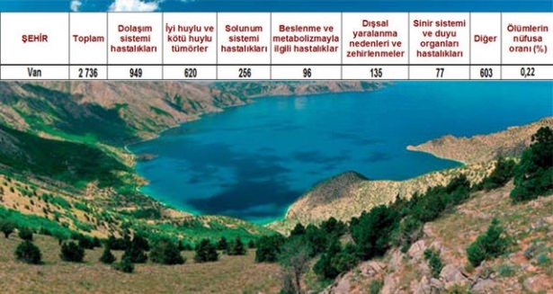 Ölüm oranlarının en yüksek olduğu iller 4