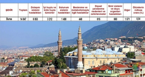 Ölüm oranlarının en yüksek olduğu iller 40