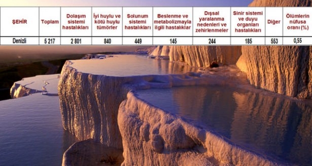 Ölüm oranlarının en yüksek olduğu iller 41