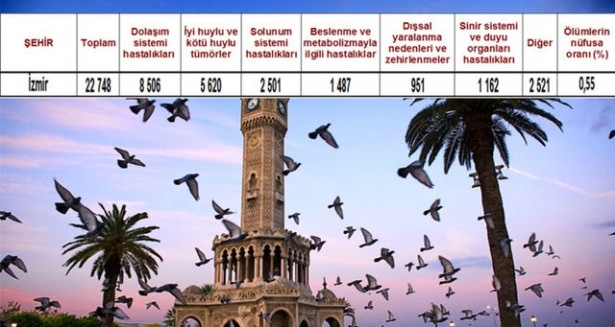 Ölüm oranlarının en yüksek olduğu iller 42