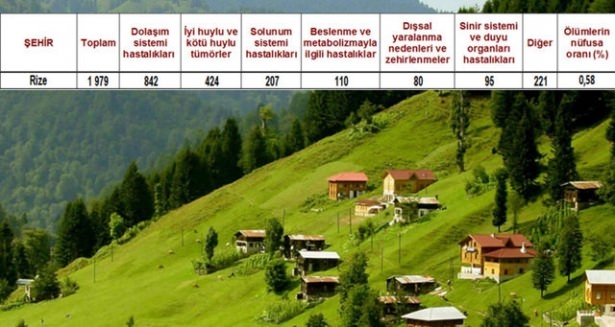 Ölüm oranlarının en yüksek olduğu iller 45