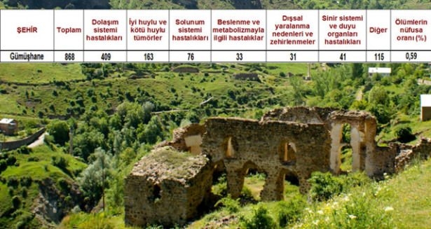 Ölüm oranlarının en yüksek olduğu iller 46