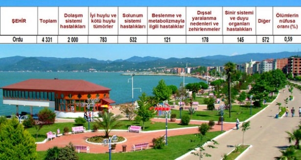 Ölüm oranlarının en yüksek olduğu iller 47