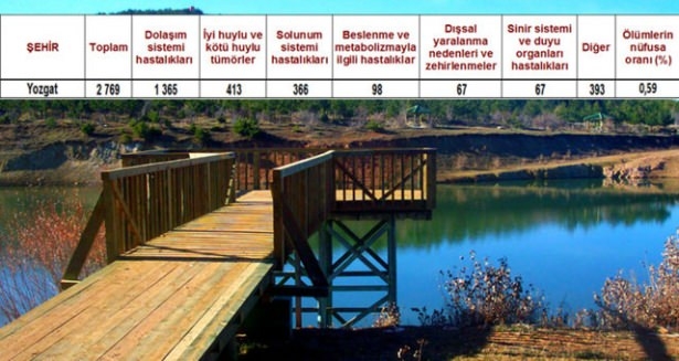 Ölüm oranlarının en yüksek olduğu iller 48