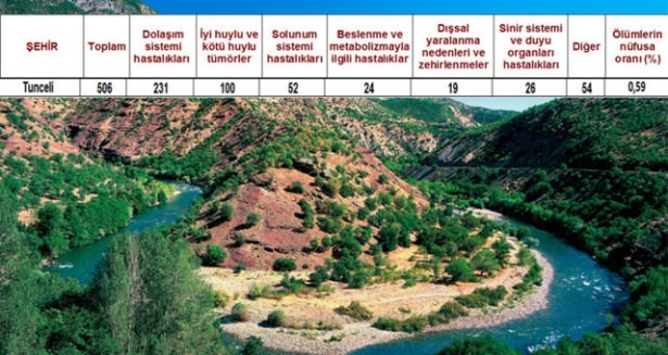 Ölüm oranlarının en yüksek olduğu iller 49