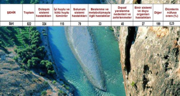 Ölüm oranlarının en yüksek olduğu iller 5