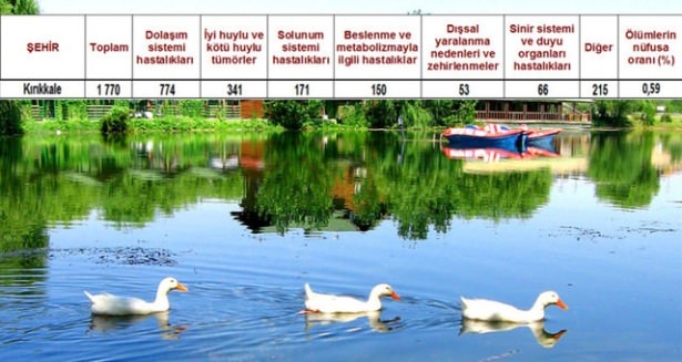 Ölüm oranlarının en yüksek olduğu iller 50