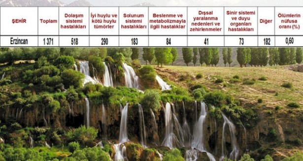 Ölüm oranlarının en yüksek olduğu iller 52