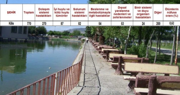 Ölüm oranlarının en yüksek olduğu iller 54