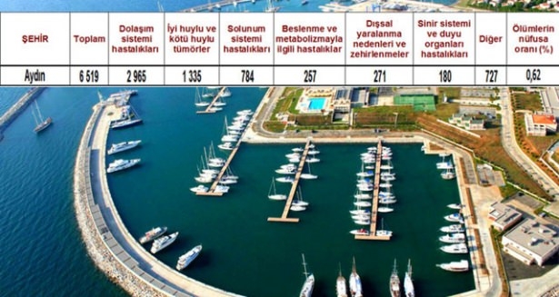 Ölüm oranlarının en yüksek olduğu iller 56