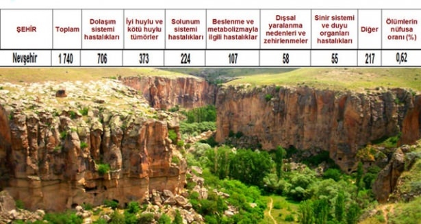 Ölüm oranlarının en yüksek olduğu iller 57