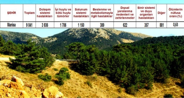 Ölüm oranlarının en yüksek olduğu iller 58