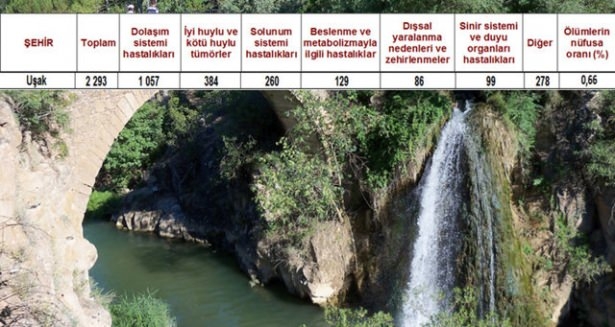 Ölüm oranlarının en yüksek olduğu iller 64