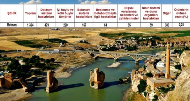 Ölüm oranlarının en yüksek olduğu iller 7