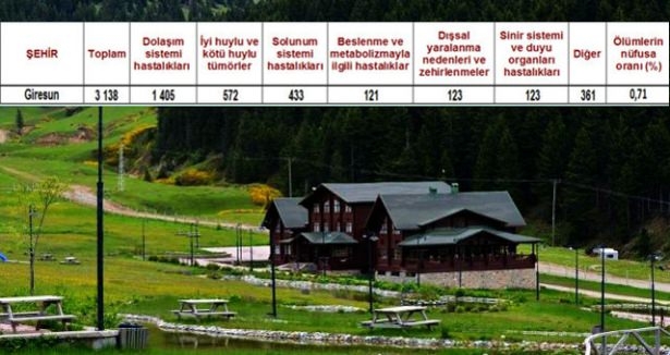 Ölüm oranlarının en yüksek olduğu iller 72