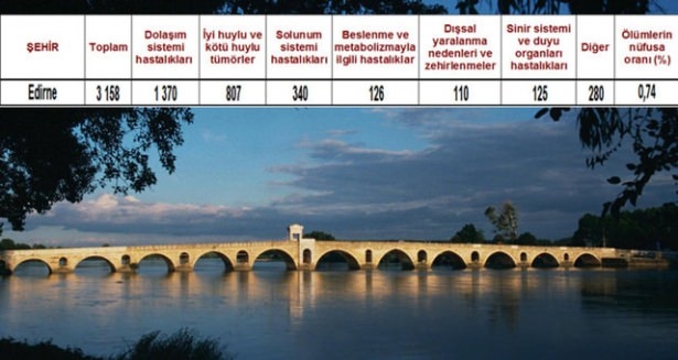 Ölüm oranlarının en yüksek olduğu iller 73