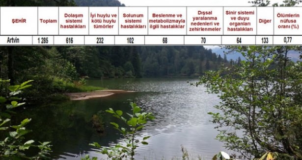 Ölüm oranlarının en yüksek olduğu iller 77