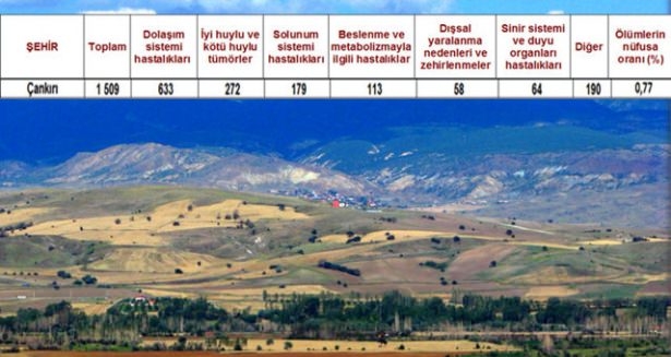 Ölüm oranlarının en yüksek olduğu iller 78