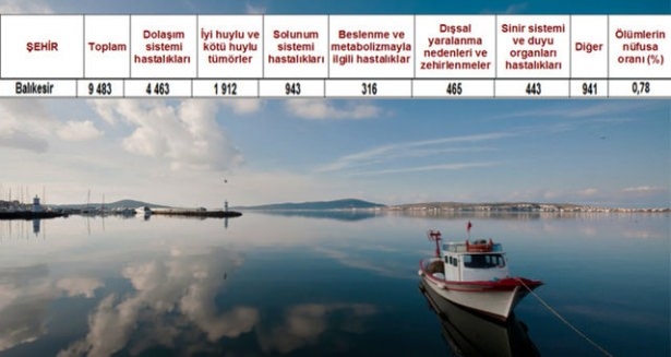 Ölüm oranlarının en yüksek olduğu iller 79