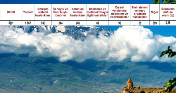 Ölüm oranlarının en yüksek olduğu iller 8