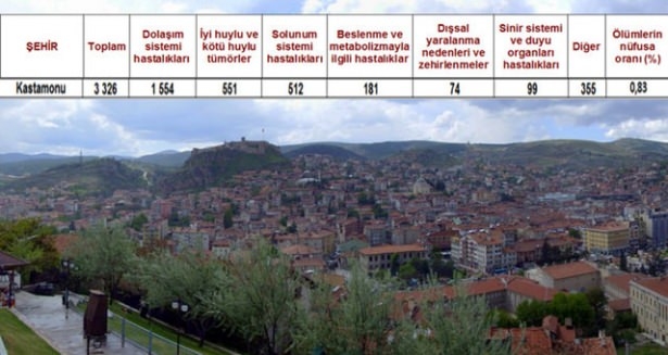 Ölüm oranlarının en yüksek olduğu iller 81