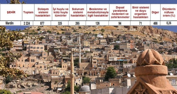 Ölüm oranlarının en yüksek olduğu iller 9