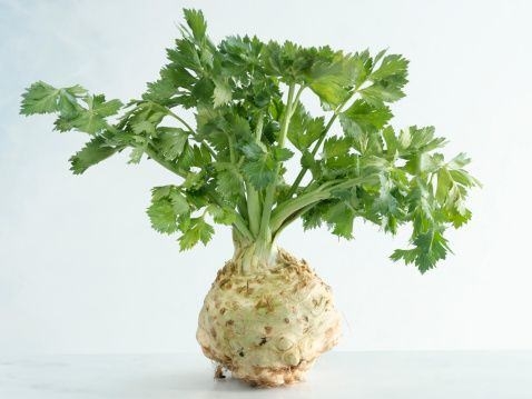 Kışın yenilecek en sağlıklı yiyecekler! 2