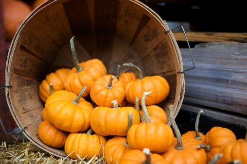 Kışın yenilecek en sağlıklı yiyecekler! 9