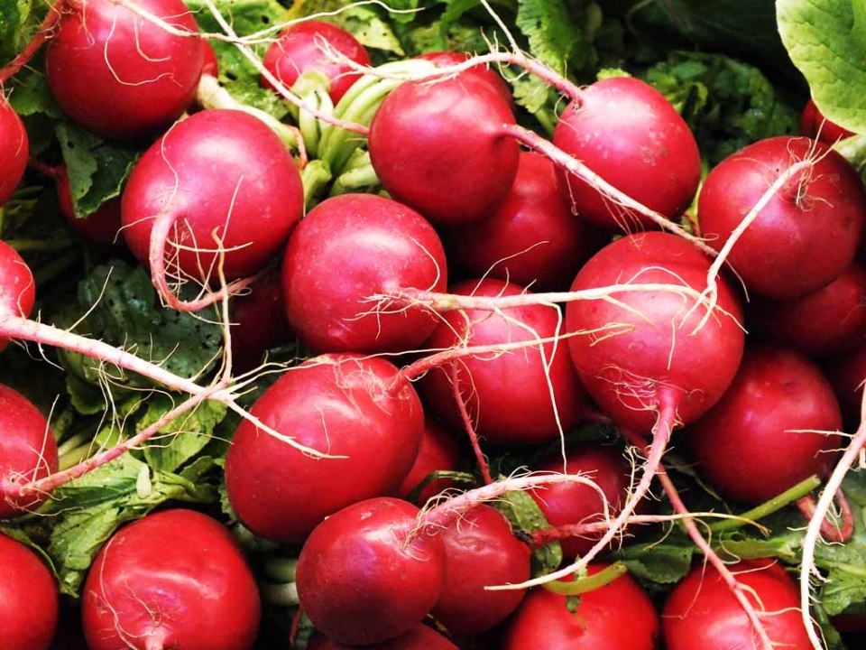 Kanserin düşmanı 34 yiyecek 8